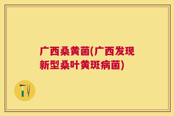 广西桑黄菌(广西发现新型桑叶黄斑菌) 广西桑黄菌(广西发现新型桑叶黄斑菌)