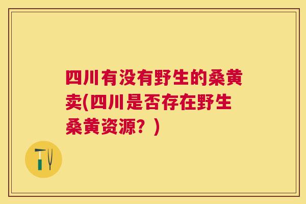 四川有没有野生的桑黄卖(四川是否存在野生桑黄资源?) 四川有没有野生的桑黄卖(四川是否存在野生桑黄资源?)