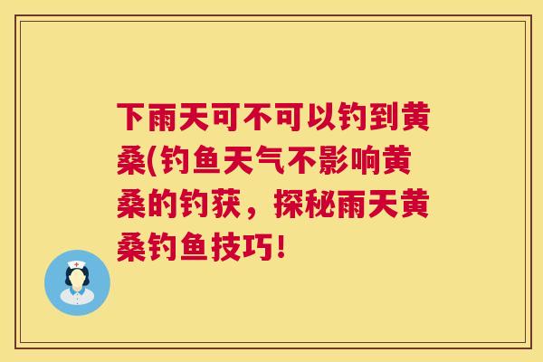 下雨天可不可以钓到黄桑(钓鱼天气不影响黄桑的钓获，探秘雨天黄桑钓鱼技巧！