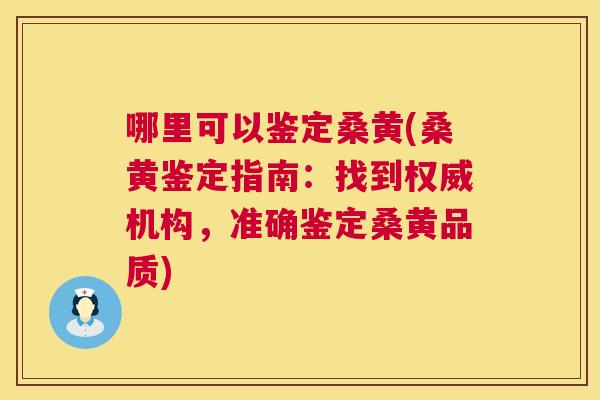 哪里可以鉴定桑黄(桑黄鉴定指南：找到权威机构，准确鉴定桑黄品质)