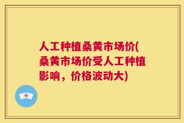 人工种植桑黄市场价(桑黄市场价受人工种植影响,价格波动大) 人工种植桑黄市场价(桑黄市场价受人工种植影响,价格波动大)