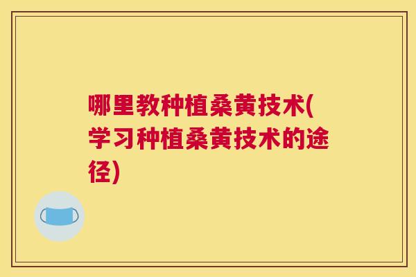 哪里教种植桑黄技术(学习种植桑黄技术的途径) 哪里教种植桑黄技术(学习种植桑黄技术的途径)