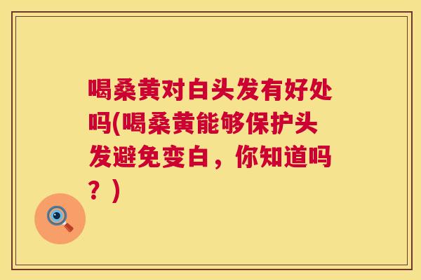喝桑黄对白头发有好处吗(喝桑黄能够保护头发避免变白,你知道吗?) 喝桑黄对白头发有好处吗(喝桑黄能够保护头发避免变白,你知道吗?)