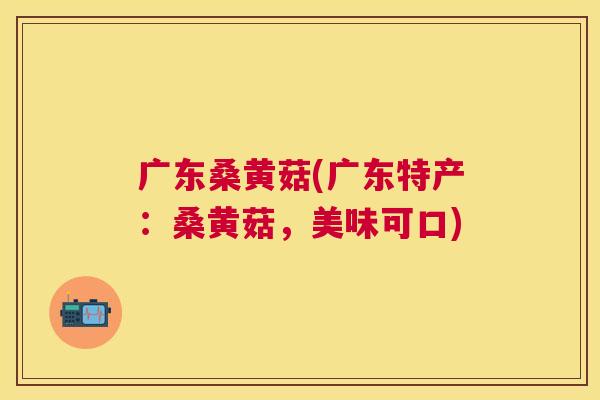 广东桑黄菇(广东特产:桑黄菇,美味可口) 广东桑黄菇(广东特产:桑黄菇,美味可口)