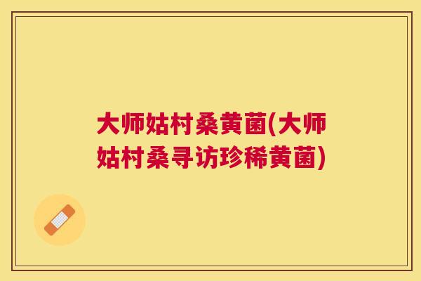 大师姑村桑黄菌(大师姑村桑寻访珍稀黄菌) 大师姑村桑黄菌(大师姑村桑寻访珍稀黄菌)