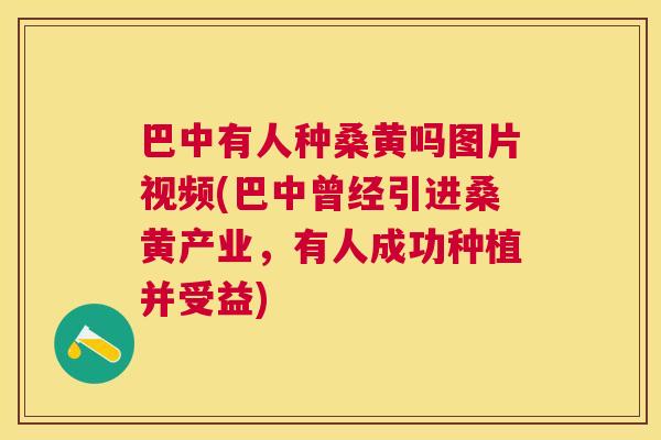 巴中有人种桑黄吗图片视频(巴中曾经引进桑黄产业,有人成功种植并受益) 巴中有人种桑黄吗图片视频(巴中曾经引进桑黄产业,有人成功种植并受益)