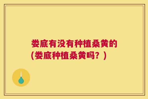 娄底有没有种植桑黄的(娄底种植桑黄吗?) 娄底有没有种植桑黄的(娄底种植桑黄吗?)