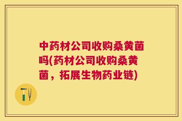 材公司收购桑黄菌吗(药材公司收购桑黄菌,拓展生物药业链) 材公司收购桑黄菌吗(药材公司收购桑黄菌,拓展生物药业链)