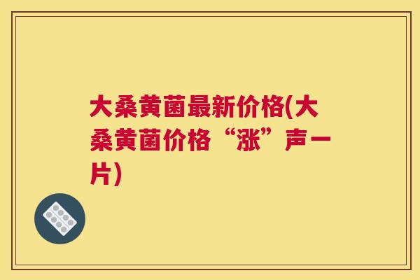 大桑黄菌新价格(大桑黄菌价格“涨”声一片) 大桑黄菌新价格(大桑黄菌价格“涨”声一片)
