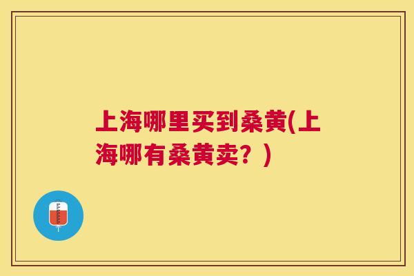 上海哪里买到桑黄(上海哪有桑黄卖？)