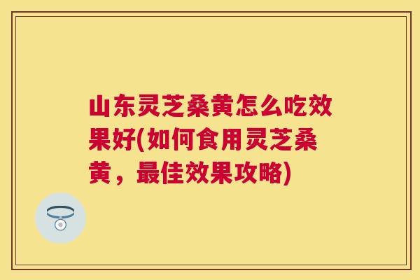 山东灵芝桑黄怎么吃效果好(如何食用灵芝桑黄,佳效果攻略) 山东灵芝桑黄怎么吃效果好(如何食用灵芝桑黄,佳效果攻略)