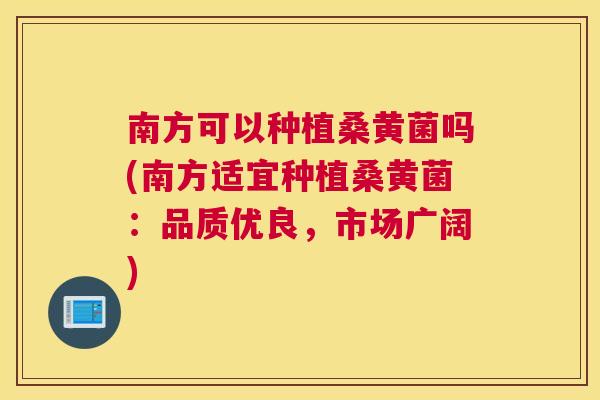 南方可以种植桑黄菌吗(南方适宜种植桑黄菌:品质优良,市场广阔) 南方可以种植桑黄菌吗(南方适宜种植桑黄菌:品质优良,市场广阔)