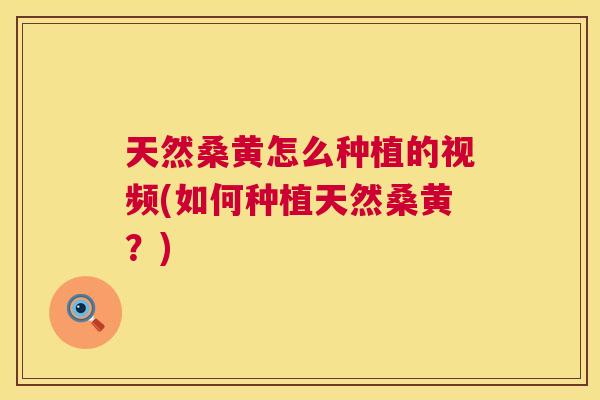 天然桑黄怎么种植的视频(如何种植天然桑黄?) 天然桑黄怎么种植的视频(如何种植天然桑黄?)