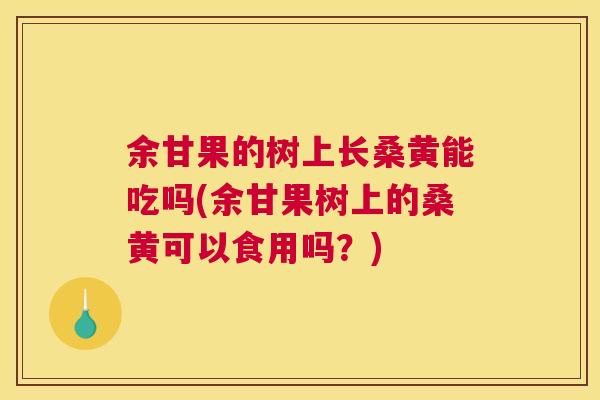 余甘果的树上长桑黄能吃吗(余甘果树上的桑黄可以食用吗？)