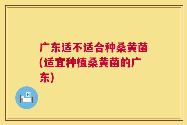 广东适不适合种桑黄菌(适宜种植桑黄菌的广东)