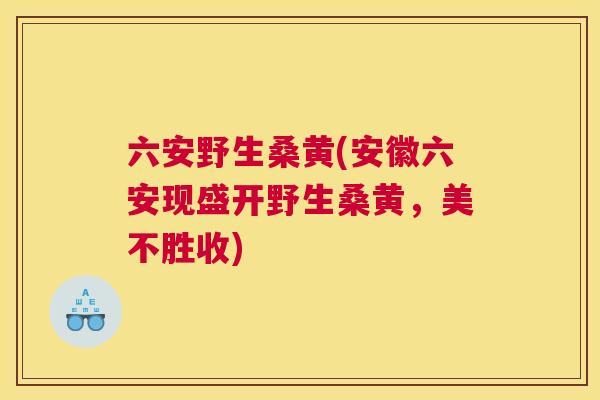 六安野生桑黄(安徽六安现盛开野生桑黄,美不胜收) 六安野生桑黄(安徽六安现盛开野生桑黄,美不胜收)