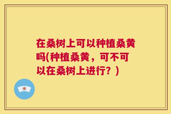 在桑树上可以种植桑黄吗(种植桑黄,可不可以在桑树上进行?) 在桑树上可以种植桑黄吗(种植桑黄,可不可以在桑树上进行?)