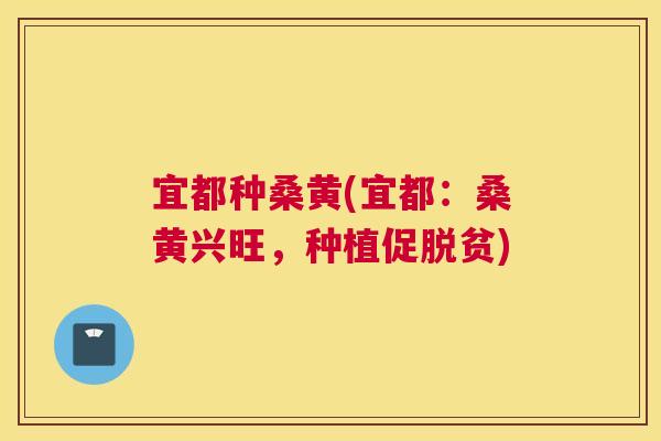宜都种桑黄(宜都:桑黄兴旺,种植促脱贫) 宜都种桑黄(宜都:桑黄兴旺,种植促脱贫)