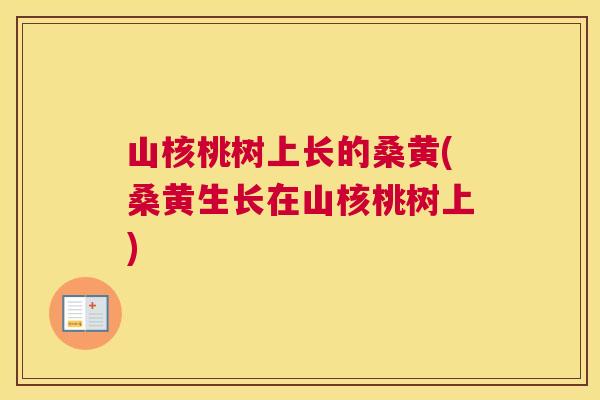 山核桃树上长的桑黄(桑黄生长在山核桃树上) 山核桃树上长的桑黄(桑黄生长在山核桃树上)