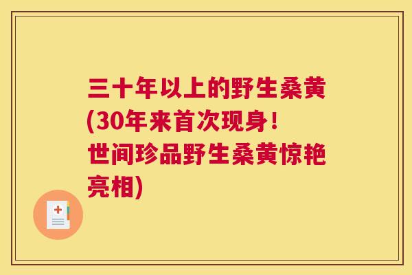 三十年以上的野生桑黄(30年来首次现身!世间珍品野生桑黄惊艳亮相) 三十年以上的野生桑黄(30年来首次现身!世间珍品野生桑黄惊艳亮相)
