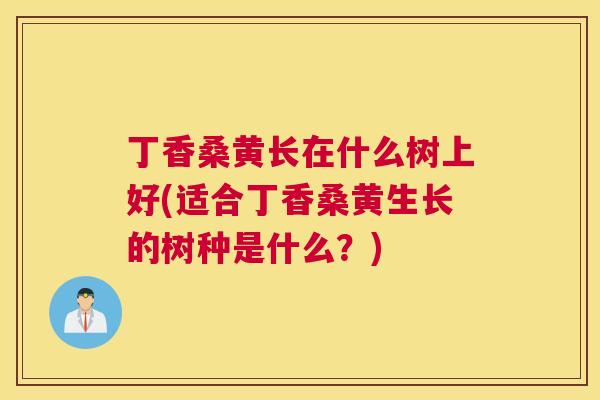 丁香桑黄长在什么树上好(适合丁香桑黄生长的树种是什么?) 丁香桑黄长在什么树上好(适合丁香桑黄生长的树种是什么?)