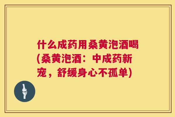 什么成药用桑黄泡酒喝(桑黄泡酒:中成药新宠,舒缓身心不孤单) 什么成药用桑黄泡酒喝(桑黄泡酒:中成药新宠,舒缓身心不孤单)