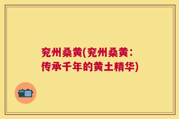 兖州桑黄(兖州桑黄:传承千年的黄土精华) 兖州桑黄(兖州桑黄:传承千年的黄土精华)