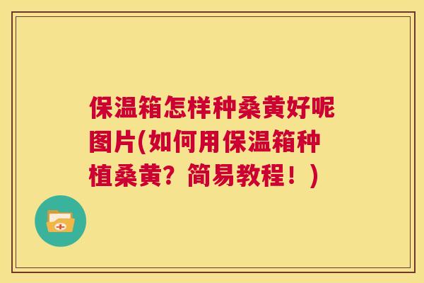 保温箱怎样种桑黄好呢图片(如何用保温箱种植桑黄?简易教程!) 保温箱怎样种桑黄好呢图片(如何用保温箱种植桑黄?简易教程!)