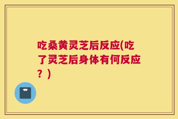 吃桑黄灵芝后反应(吃了灵芝后身体有何反应?) 吃桑黄灵芝后反应(吃了灵芝后身体有何反应?)