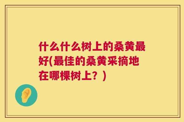 什么什么树上的桑黄好(佳的桑黄采摘地在哪棵树上?) 什么什么树上的桑黄好(佳的桑黄采摘地在哪棵树上?)