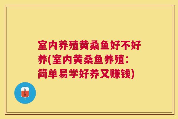 室内养殖黄桑鱼好不好养(室内黄桑鱼养殖:简单易学好养又赚钱) 室内养殖黄桑鱼好不好养(室内黄桑鱼养殖:简单易学好养又赚钱)