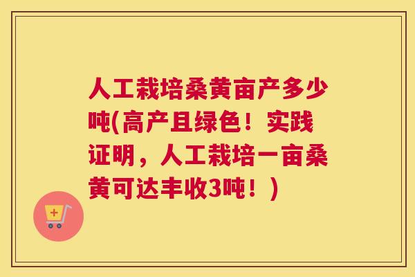 人工栽培桑黄亩产多少吨(高产且绿色！实践证明，人工栽培一亩桑黄可达丰收3吨！)