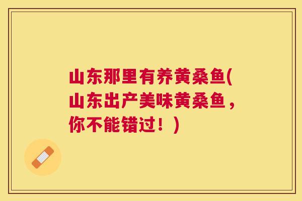 山东那里有养黄桑鱼(山东出产美味黄桑鱼,你不能错过!) 山东那里有养黄桑鱼(山东出产美味黄桑鱼,你不能错过!)