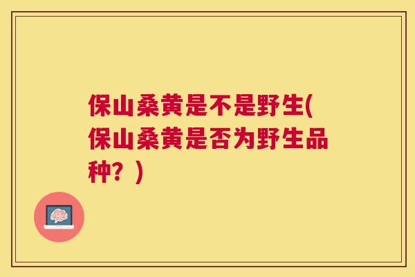 保山桑黄是不是野生(保山桑黄是否为野生品种?) 保山桑黄是不是野生(保山桑黄是否为野生品种?)