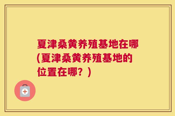 夏津桑黄养殖基地在哪(夏津桑黄养殖基地的位置在哪？)