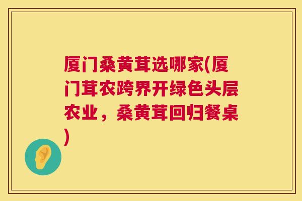 厦门桑黄茸选哪家(厦门茸农跨界开绿色头层农业,桑黄茸回归餐桌) 厦门桑黄茸选哪家(厦门茸农跨界开绿色头层农业,桑黄茸回归餐桌)