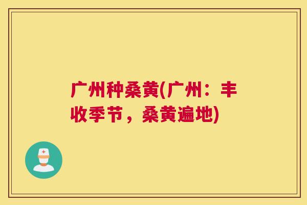 广州种桑黄(广州:丰收季节,桑黄遍地) 广州种桑黄(广州:丰收季节,桑黄遍地)