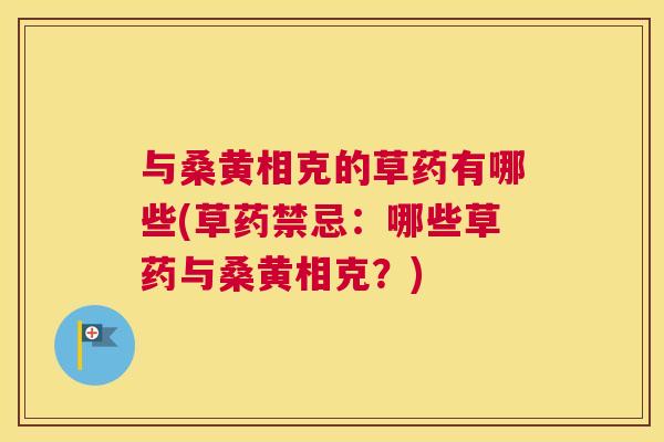 与桑黄相克的草药有哪些(草药禁忌:哪些草药与桑黄相克?) 与桑黄相克的草药有哪些(草药禁忌:哪些草药与桑黄相克?)