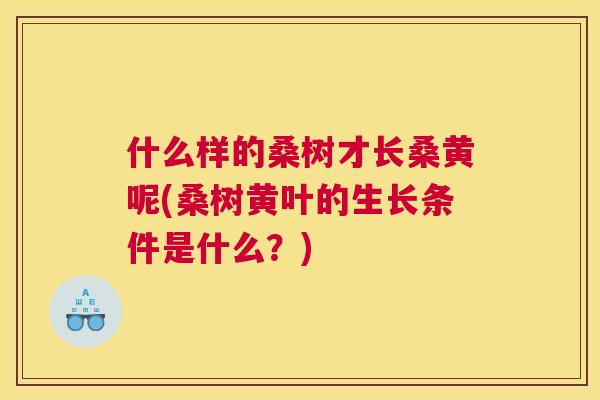 什么样的桑树才长桑黄呢(桑树黄叶的生长条件是什么?) 什么样的桑树才长桑黄呢(桑树黄叶的生长条件是什么?)