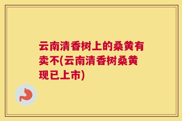 云南清香树上的桑黄有卖不(云南清香树桑黄现已上市) 云南清香树上的桑黄有卖不(云南清香树桑黄现已上市)
