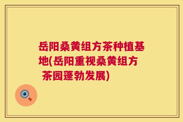 岳阳桑黄组方茶种植基地(岳阳重视桑黄组方 茶园蓬勃发展) 岳阳桑黄组方茶种植基地(岳阳重视桑黄组方 茶园蓬勃发展)