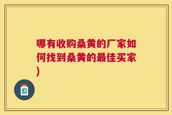 哪有收购桑黄的厂家如何找到桑黄的佳买家) 哪有收购桑黄的厂家如何找到桑黄的佳买家)