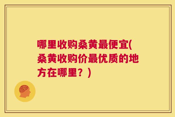 哪里收购桑黄便宜(桑黄收购价优质的地方在哪里?) 哪里收购桑黄便宜(桑黄收购价优质的地方在哪里?)