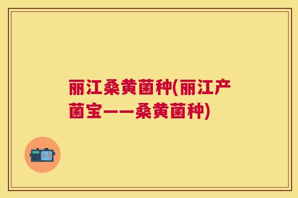 丽江桑黄菌种(丽江产菌宝——桑黄菌种) 丽江桑黄菌种(丽江产菌宝——桑黄菌种)