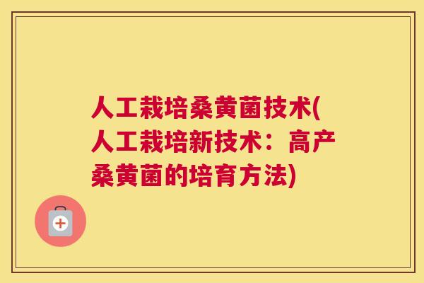 人工栽培桑黄菌技术(人工栽培新技术:高产桑黄菌的培育方法) 人工栽培桑黄菌技术(人工栽培新技术:高产桑黄菌的培育方法)