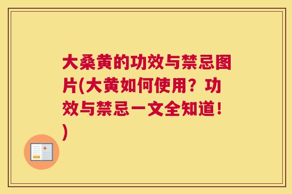 大桑黄的功效与禁忌图片(大黄如何使用?功效与禁忌一文全知道!) 大桑黄的功效与禁忌图片(大黄如何使用?功效与禁忌一文全知道!)