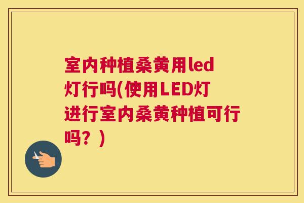 室内种植桑黄用led灯行吗(使用LED灯进行室内桑黄种植可行吗?) 室内种植桑黄用led灯行吗(使用LED灯进行室内桑黄种植可行吗?)