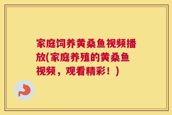 家庭饲养黄桑鱼视频播放(家庭养殖的黄桑鱼视频,观看精彩!) 家庭饲养黄桑鱼视频播放(家庭养殖的黄桑鱼视频,观看精彩!)
