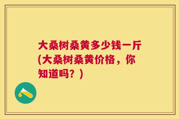 大桑树桑黄多少钱一斤(大桑树桑黄价格,你知道吗?) 大桑树桑黄多少钱一斤(大桑树桑黄价格,你知道吗?)