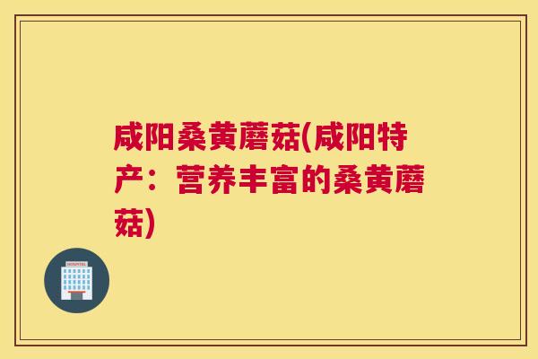 咸阳桑黄蘑菇(咸阳特产:营养丰富的桑黄蘑菇) 咸阳桑黄蘑菇(咸阳特产:营养丰富的桑黄蘑菇)